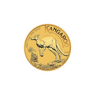 1/4 oz Australian Kangaroo Gullmynt 2024